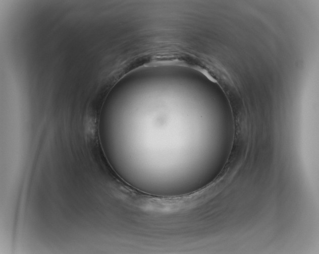 X0000112160033200908071147