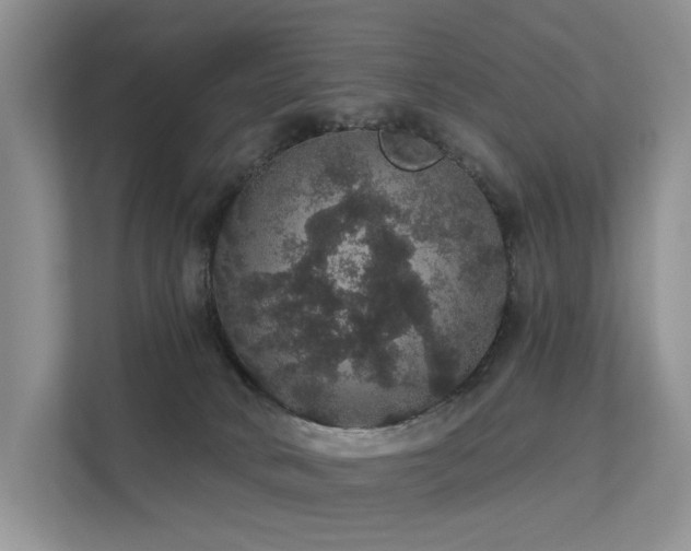 X0000112160034200908071147