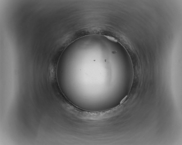 X0000112160037200908071147