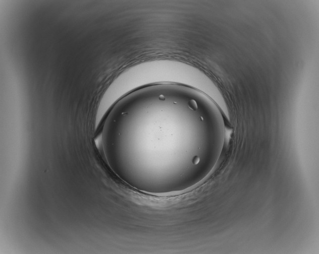 X0000112160039200908071147