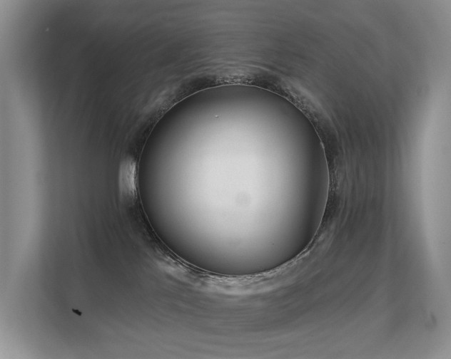 X0000112160041200908071147