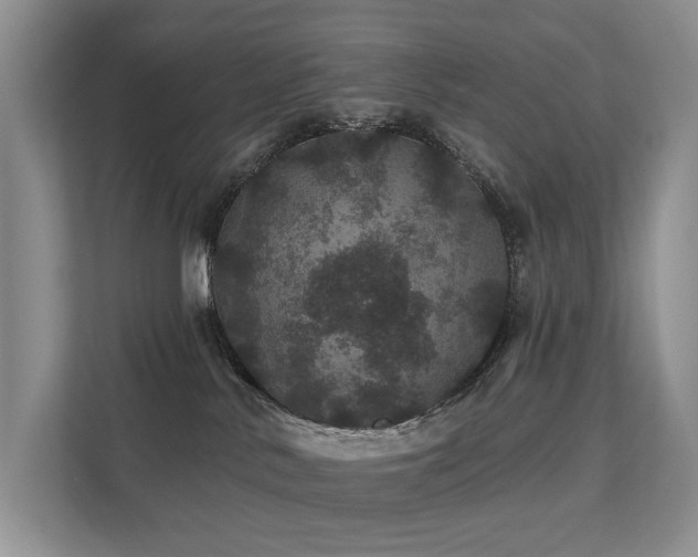 X0000112160042200908071147