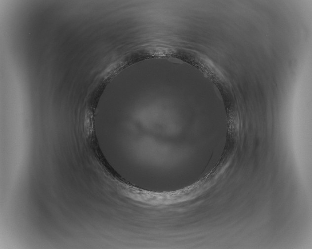 X0000112160043200908071147