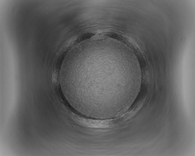 X0000112160044200908071147