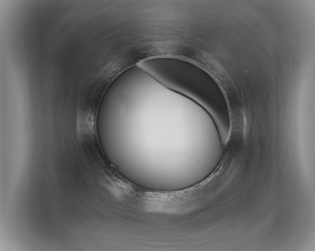X0000112160045200908071147
