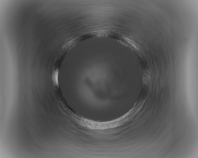 X0000112160047200908071147