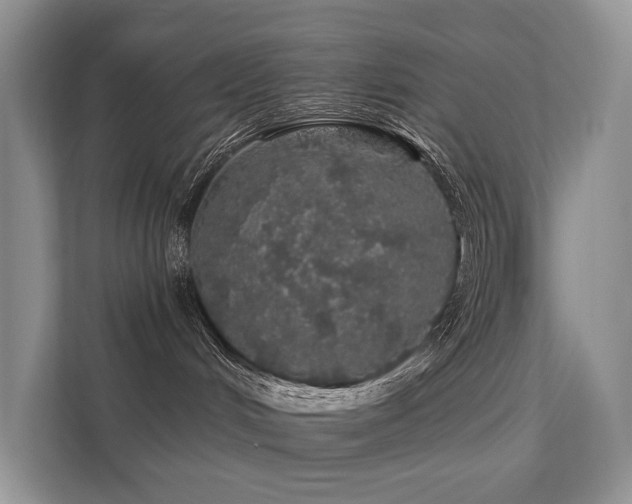 X0000112160048200908071147
