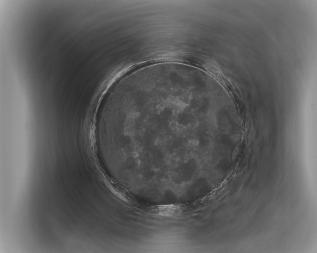X0000112160050200908071146