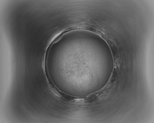 X0000112160052200908071146