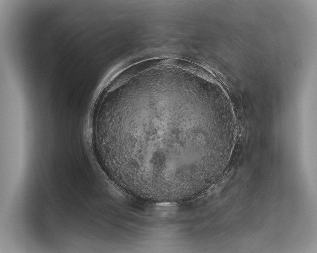 X0000112160053200908071146