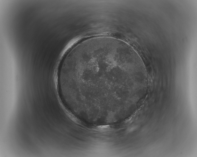 X0000112160054200908071146