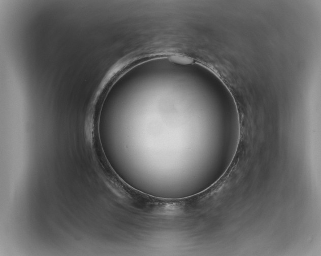 X0000112160056200908071146