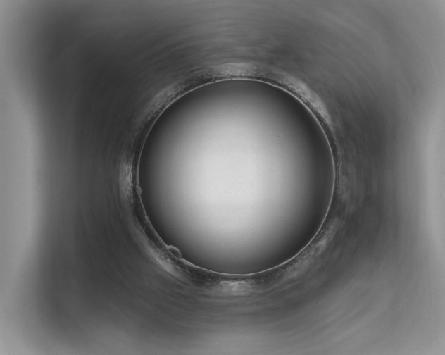 X0000112160057200908071146