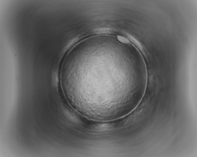 X0000112160059200908071146