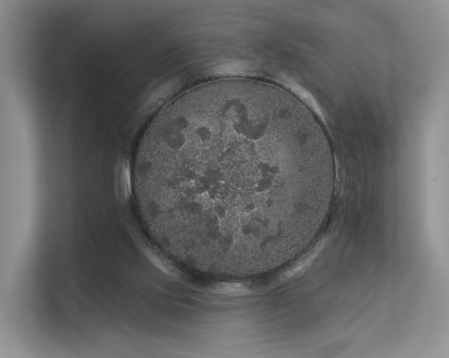 X0000112160061200908071146