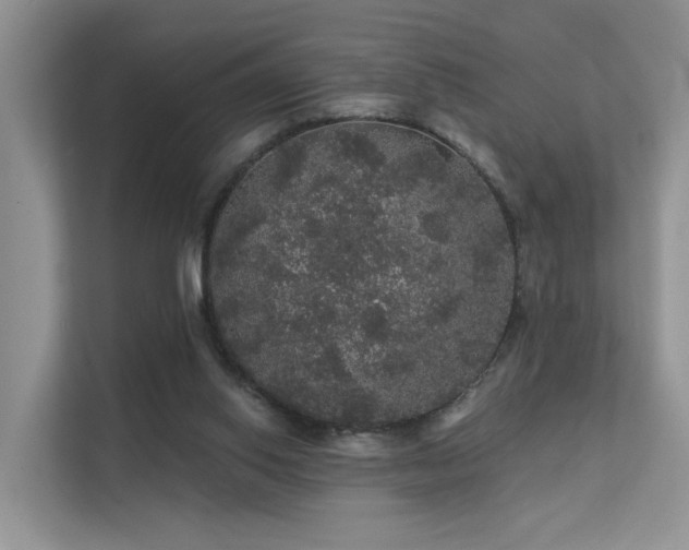 X0000112160062200908071146