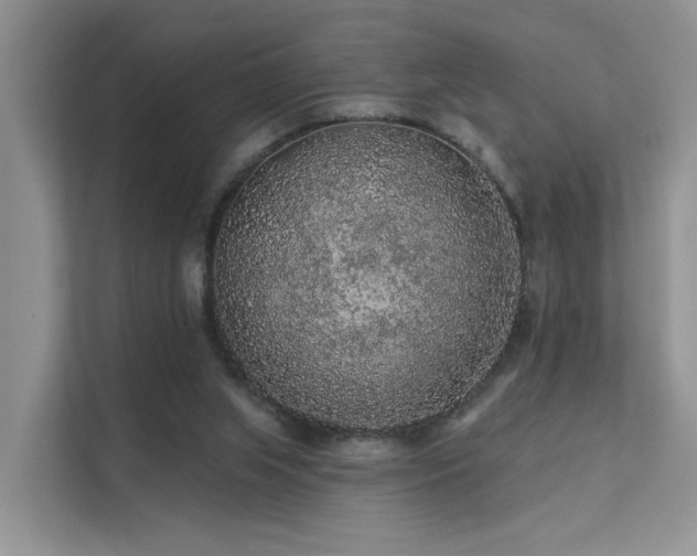 X0000112160063200908071146