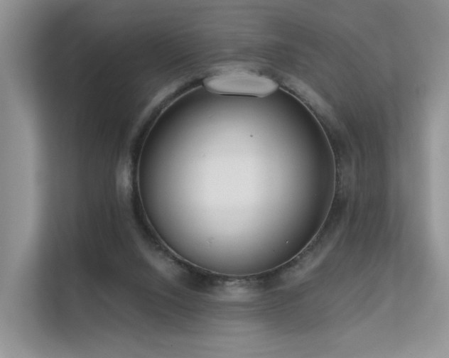 X0000112160064200908071146