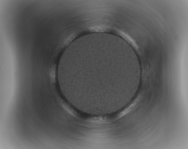 X0000112160065200908071146
