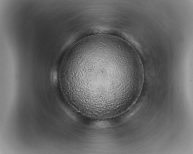 X0000112160067200908071146