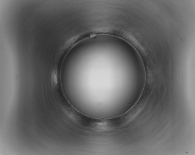 X0000112160068200908071146