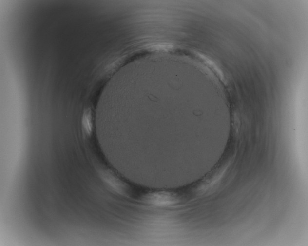 X0000112160069200908071146