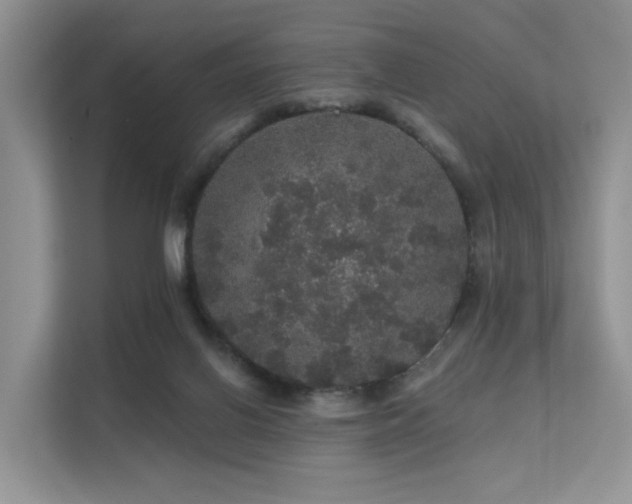 X0000112160070200908071146