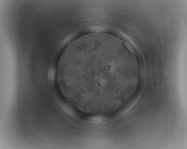 X0000112160071200908071146