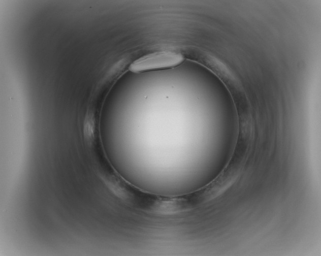 X0000112160072200908071146