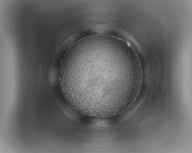X0000112160073200908071146