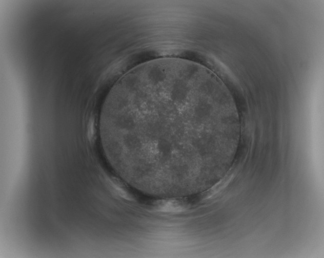 X0000112160074200908071146