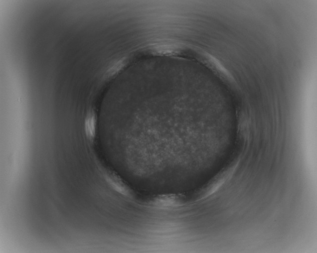 X0000112160076200908071146