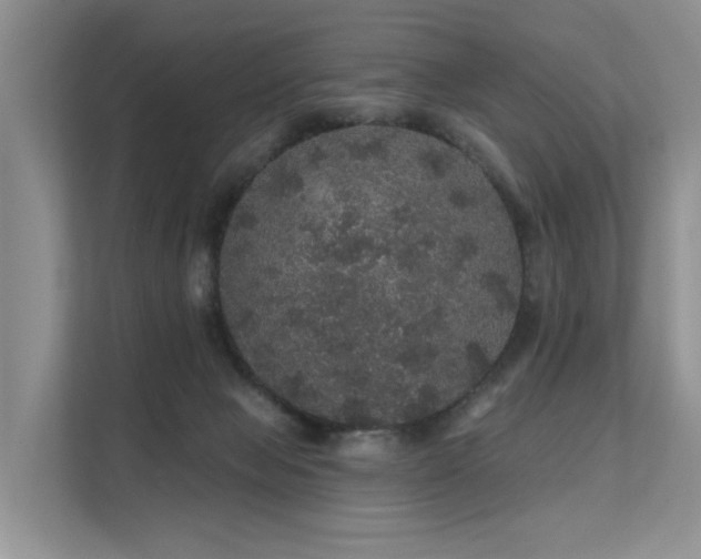 X0000112160077200908071146