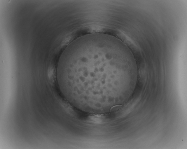 X0000112160079200908071146