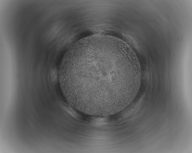 X0000112160081200908071146
