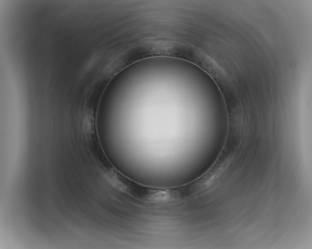 X0000112160083200908071147
