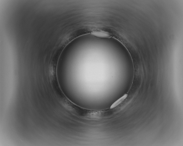 X0000112160084200908071147