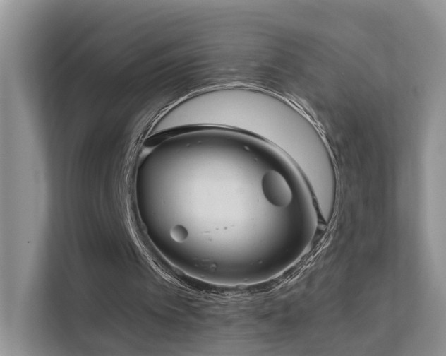 X0000112160097200908071146