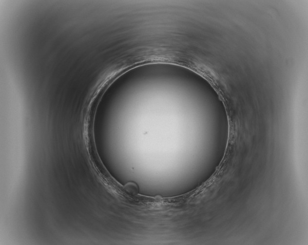 X0000112160098200908071146