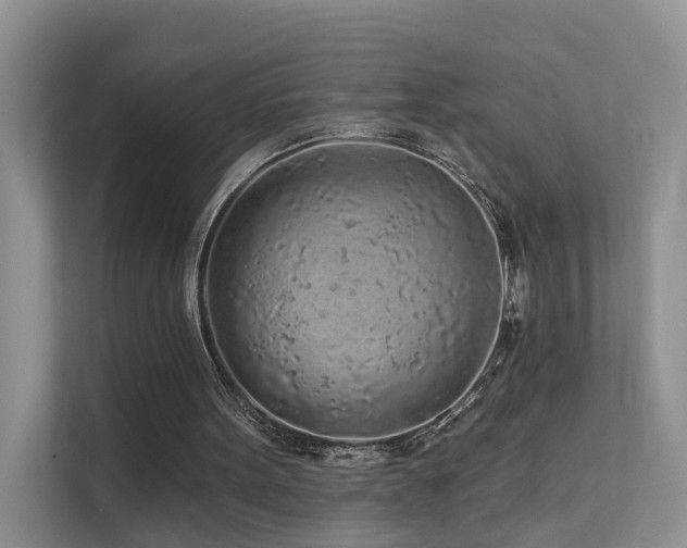 X0000112160099200908071146