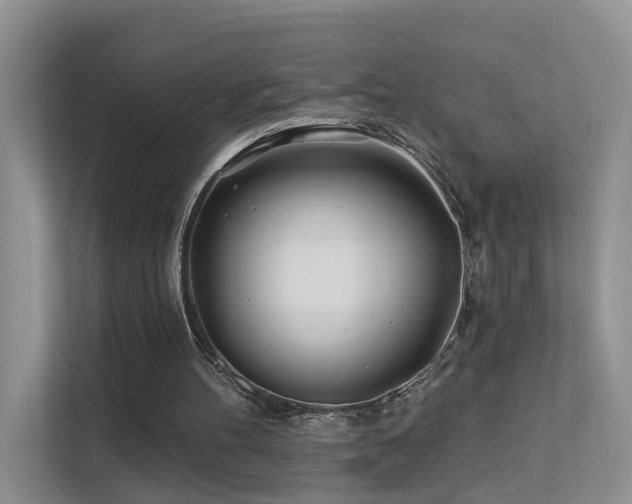 X0000112160100200908071146