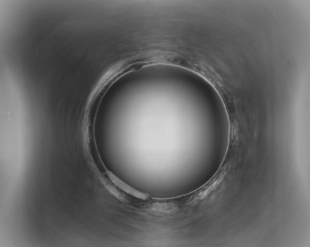 X0000112160101200908071146
