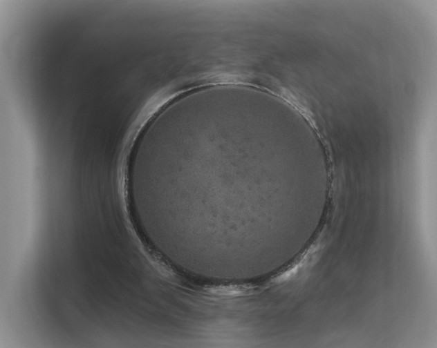 X0000112160103200908071146