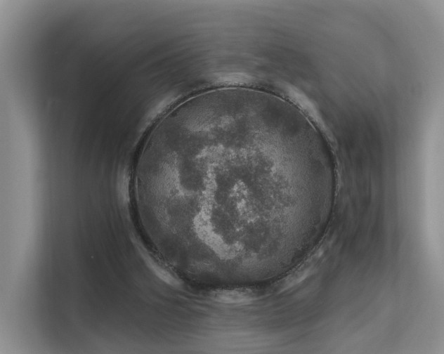 X0000112160106200908071146
