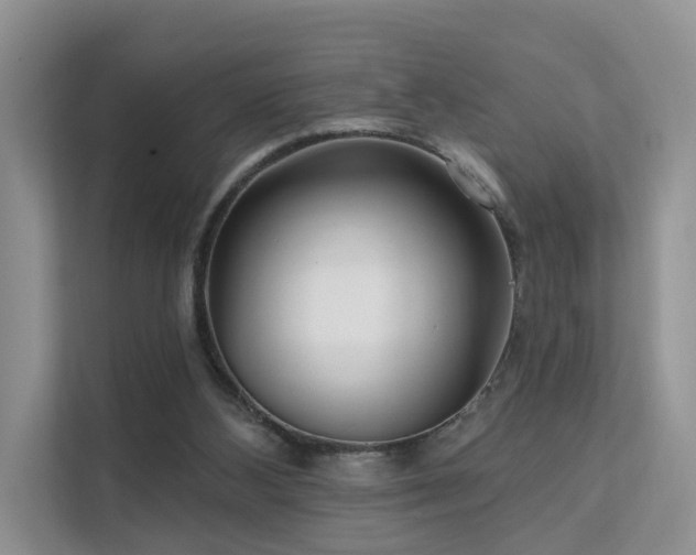 X0000112160108200908071146
