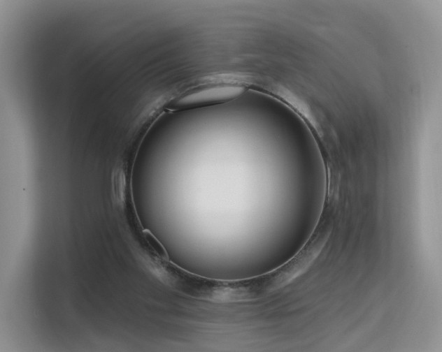 X0000112160109200908071146