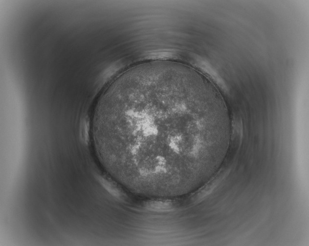 X0000112160110200908071146