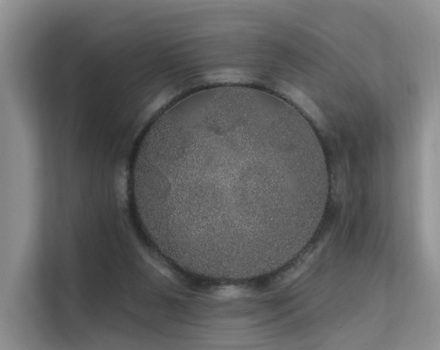 X0000112160111200908071146
