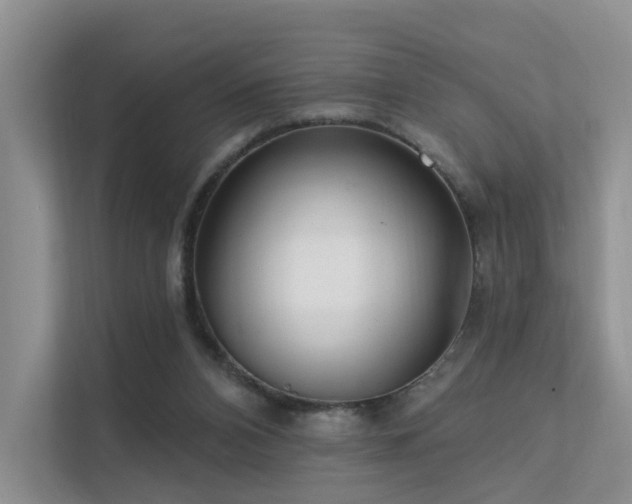 X0000112160112200908071146