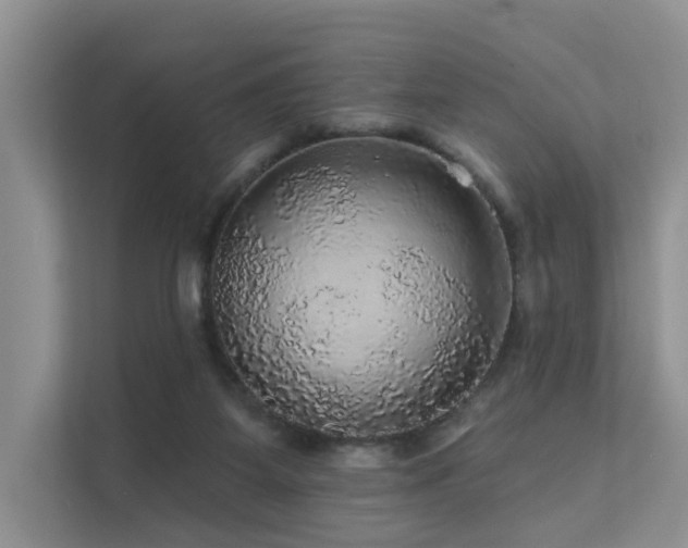 X0000112160115200908071146